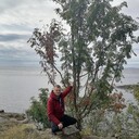 ���������� �����-���������, ���� ������� Dennnis, 42 ����, ������������ ��� ������, ����� � ���������