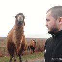 ���������� ��������, ���� ������� �����, 36 ���, ������������ ��� ������, ����� � ���������, c�������� ���������