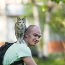 ���������� �����������, ���� ������� ��������, 40 ���, ������������ ��� ������, ����� � ���������, ���������