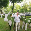 ���������� �����, ���� ������� �������, 44 ����, ������������ ��� c�������� ���������