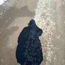 ���������� �����-���������, ���� ������� ���������, 28 ���, ������������ 