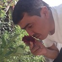 ���������� ��������, ���� ������� ��������, 37 ���, ������������ ��� ������, ����� � ���������, c�������� ���������, ���������