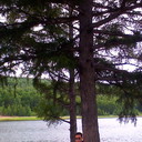 ���������� ����, ���� ������� �������, 50 ���, ������������ ��� ������, ����� � ���������, c�������� ���������