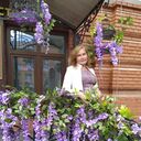 ���������� ���������, ���� ������� �������, 55 ���, ������������ ��� c�������� ���������