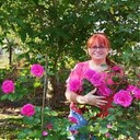 ���������� �����������, ���� ������� ����������, 63 ����, ������������ 