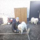 ���������� ����������, ���� ������� ���, 28 ���, ������������ ��� ������, ����� � ���������, c�������� ���������, ���������