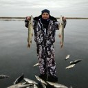 ���������� ���������, ���� ������� �������, 44 ����, ������������ ��� ����� � ���������, c�������� ���������