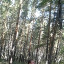 ���������� ����, ���� ������� ����, 52 ����, ������������ ��� ������