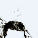 ���������� �����������, ���� ������� ����, 35 ���, ������������ ��� ������, ����� � ���������, c�������� ���������