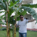 ���������� ����, ���� ������� �������, 46 ���, ������������ 