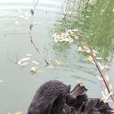 ���������� ������, ���� ������� �������, 42 ����, ������������ ��� ������, ����� � ���������, c�������� ���������, ���������