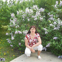  ,   , 59 ,   ,   