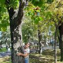 ���������� �����������-��-�����, ���� ������� �������, 102 ����, ������������ ��� ������, ����� � ���������