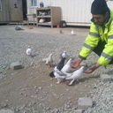  ,   Ruslan, 42 ,   ,   , c , 