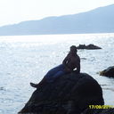   ,   , 51 ,   