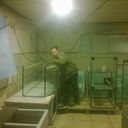 ���������� �����, ���� ������� ������, 38 ���, ������������ ��� ������