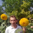  ,   , 50 ,   ,   , c 