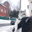 ���������� ������, ���� ������� �����, 45 ���, ������������ ��� ������, ����� � ���������