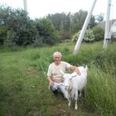  ,   , 71 ,   ,   , c 