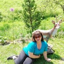  ,   , 54 ,   c 