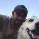 ���������� �������, ���� ������� ������, 37 ���, ������������ ��� ����� � ���������, c�������� ���������, ���������