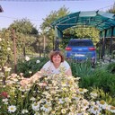 ���������� ������, ���� ������� �������, 59 ���, ������������ ��� ������, ����� � ���������