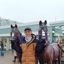 ���������� �������, ���� ������� ������� ����, 46 ���, ������������ ��� ������, ���������