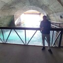 ���������� �������, ���� ������� �������, 33 ����, ������������ ��� ����� � ���������, c�������� ���������