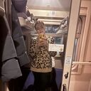 ���������� �����������, ���� ������� �����, 38 ���, ������������ ��� ������, ����� � ���������, c�������� ���������, ���������