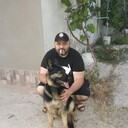 ���������� ��������, ���� ������� ������, 43 ����, ������������ ��� ������, ����� � ���������