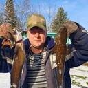 ���������� �����������, ���� ������� �������, 44 ����, ������������ ��� ����� � ���������, c�������� ���������