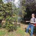 ���������� ����, ���� ������� �����, 49 ���, ������������ ��� ������, ����� � ���������