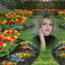  ,   , 62 ,   