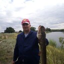 ���������� ���������, ���� ������� ���������, 52 ����, ������������ ��� ������, ����� � ���������