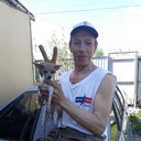  -,   , 55 ,   ,   , c 