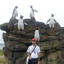 ���������� ���������, ���� ������� �������, 36 ���, ������������ ��� ������, ����� � ���������, c�������� ���������