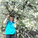  ,   , 63 ,     , c 