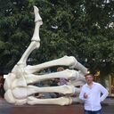 ���������� ����, ���� ������� ������, 50 ���, ������������ ��� ����� � ���������, c�������� ���������