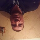  -,   , 49 ,   ,   , c 