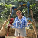 ���������� ����������, ���� ������� ������, 48 ���, ������������ ��� ����� � ���������, c�������� ���������