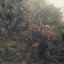 ���������� ������, ���� ������� Klych, 43 ����, ������������ 