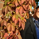 ���������� �����������, ���� ������� �����, 29 ���, ������������ ��� ������, ����� � ���������, c�������� ���������, ���������