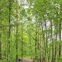 ���������� ������ ��������, ���� ������� Mikhail, 36 ���, ������������ ��� ������, ����� � ���������, c�������� ���������