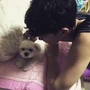 ���������� ������, ���� ������� ����� �����, 29 ���, ������������ ��� ���������