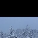 ���������� ������, ���� ������� ���������, 46 ���, ������������ ��� ������, ����� � ���������