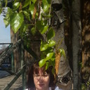  ,   , 63 ,     , c 