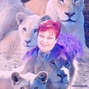 ,   , 54 ,   c , 