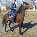 ���������� ������, ���� ������� �����, 36 ���, ������������ ��� ������