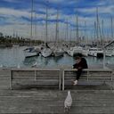 ���������� ������, ���� ������� �����, 43 ����, ������������ ��� ������, ����� � ���������