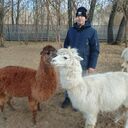 ���������� ����, ���� ������� ������, 41 ���, ������������ ��� ������, ����� � ���������, c�������� ���������